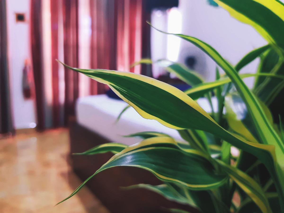Leisure Dream Inn エッラ エクステリア 写真